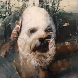 elon musk's shibu inu floki