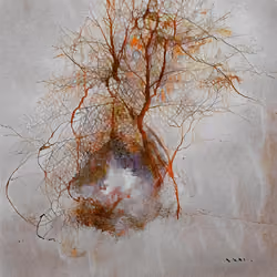 ancient tree