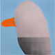 8775