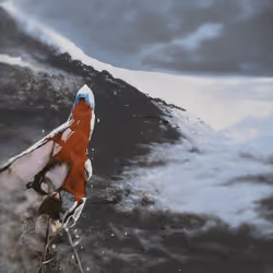 mt. fuji