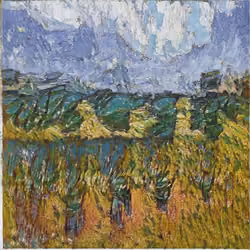  vincent van gogh
