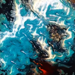 coral reef