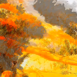 bushfire