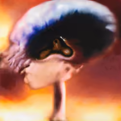 galaxy brain