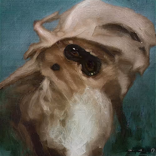 donkey