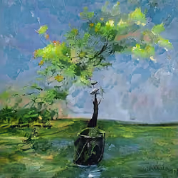 bonsai
