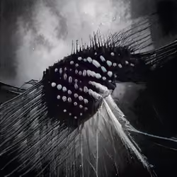 archillect