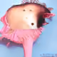 3022