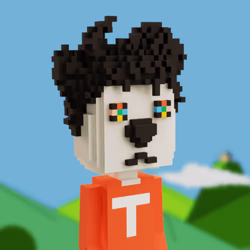 The Wombats Official