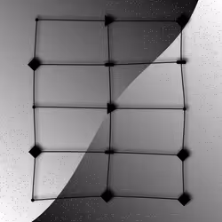 44