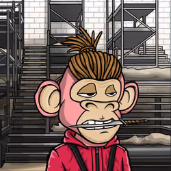Squid Ape #28