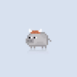 tiny oink #221