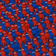 Crowd #3332