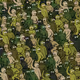 Crowd #30889