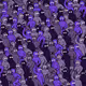 23253