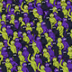 5480