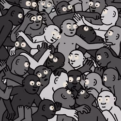 34116