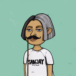 SANNAS #336