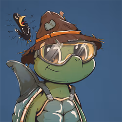 Shellmate #2826