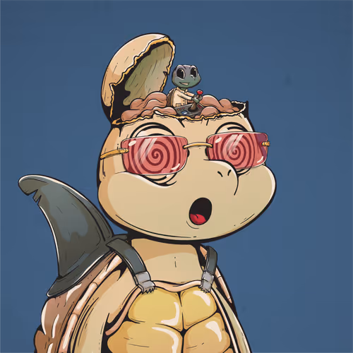 Shellmate #804