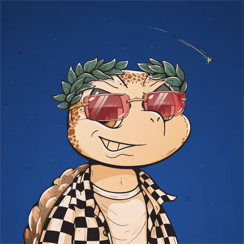 Heyshellmates