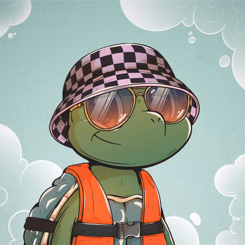 Heyshellmates