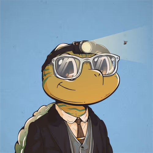 Heyshellmates