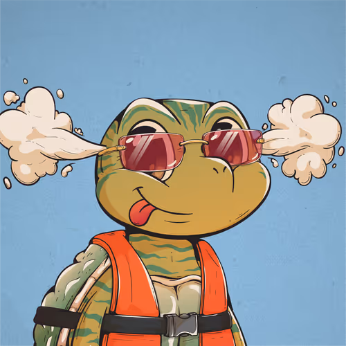 Heyshellmates