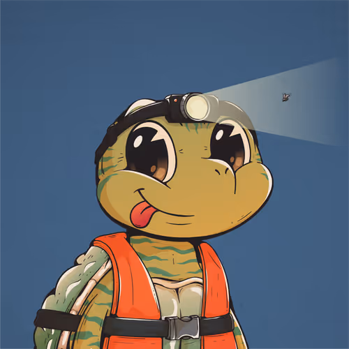 Heyshellmates