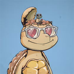 Shellmate #1116