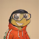 4333