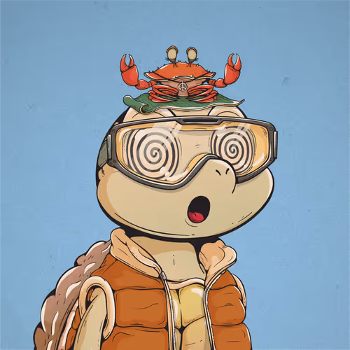 Heyshellmates