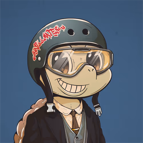 Heyshellmates