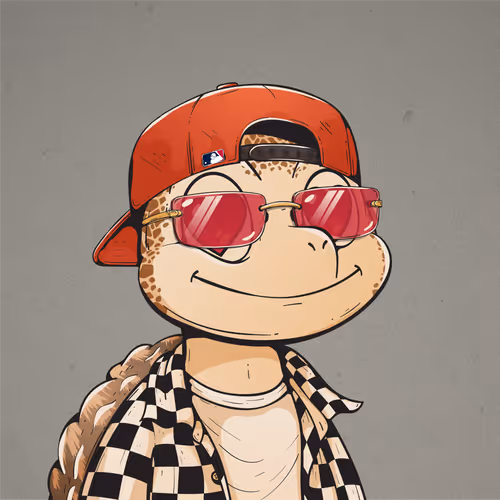 Heyshellmates