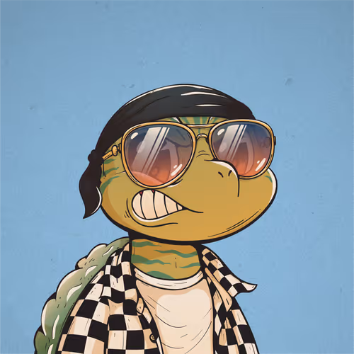 Heyshellmates