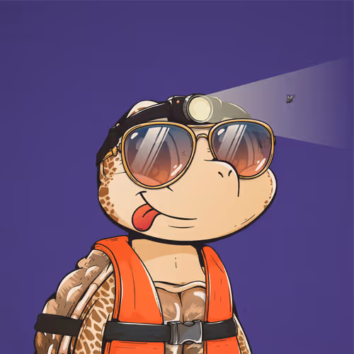 Heyshellmates