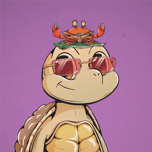 Shellmate #953