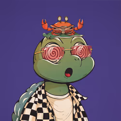 Shellmate #2813