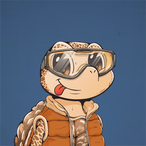 Heyshellmates
