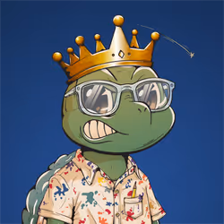 Shellmate #2156