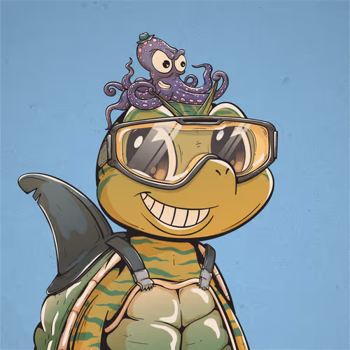 Heyshellmates