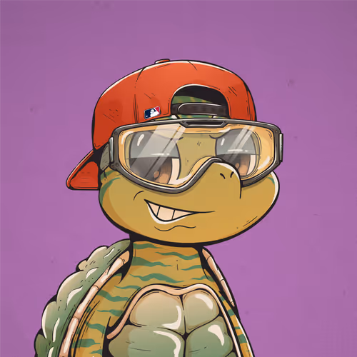 Heyshellmates
