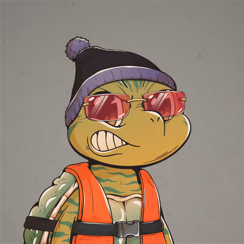 Heyshellmates