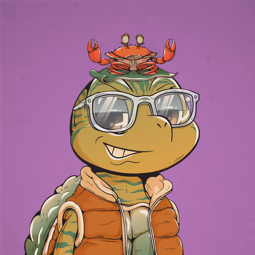 Shellmate #821