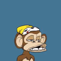 655