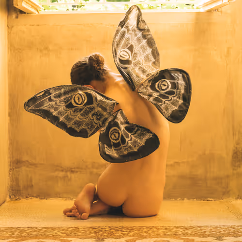 metamorphosis
