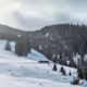 Carpathians V2