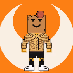 PXLBAGNER #5053