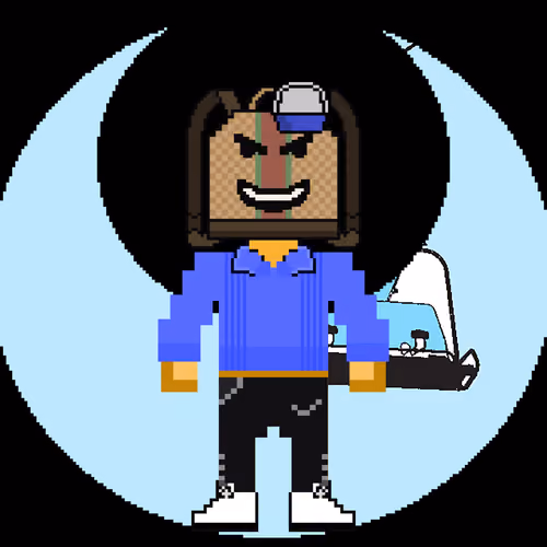 PXLBAGNER #301