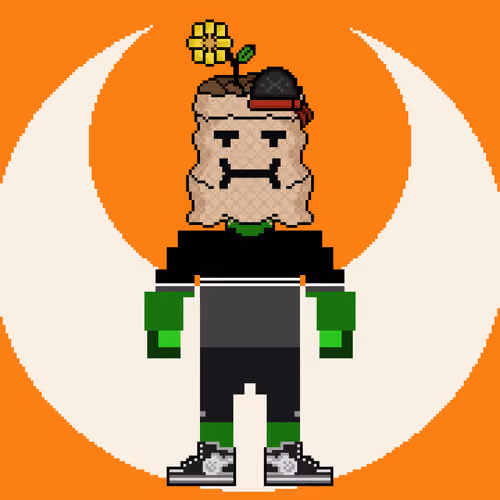 PXLBAGNER #329